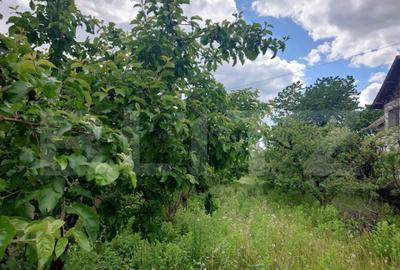 Teren intravilan, de vanzare, 2474 mp, zona Voinesti - 2