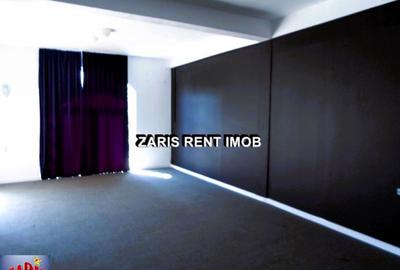 Spatii comerciale in Cocorastii Colt, Prahova - 9