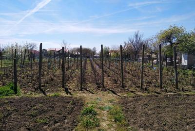 Casă cu 3 camere în Giurgița - 3