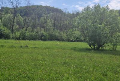 Spațiu comercial, în Central - 5
