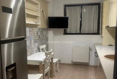 Apartament cu 3 camere decomandat, mobilat în Apusului - 9