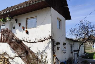 Casă cu 4 camere în Ribița - 8