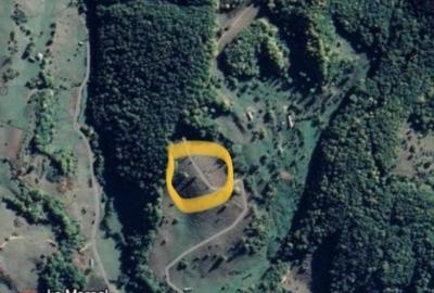 Teren de 16200 mp, în Gersa I - 2