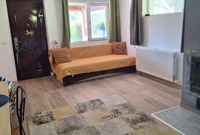 Casă cu Teren 2115 Mp în Urseiu - 3