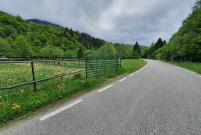 Teren Construcții intravilan de 2295 mp, în Plaiul Foii - 6