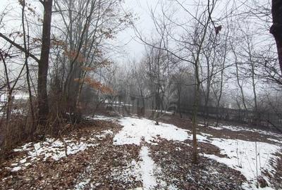 Teren de 659 mp, în Cornu - 5