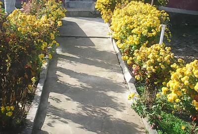 Casă în Rariștea - 1