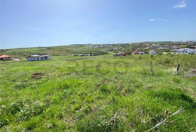 RECO Teren intravian in Oradea Str Beldiceanu 771mp - 1