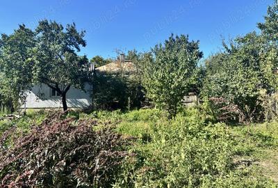 Vand casa cu gradina la strada principala. - 2