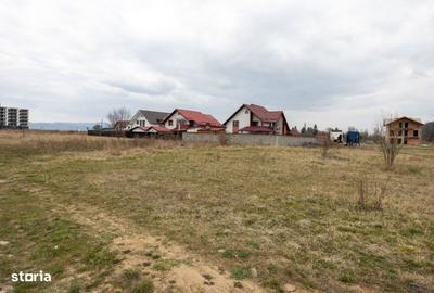 Spațiu comercial, în Primăverii - 14