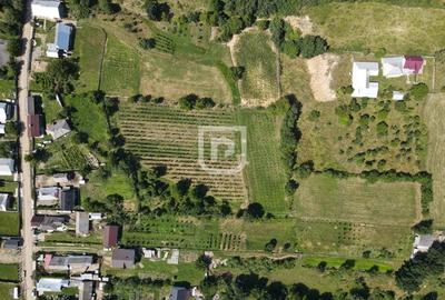 Ferma agricola, plantatii de mure, trandafiri, vita-de-vie - 15