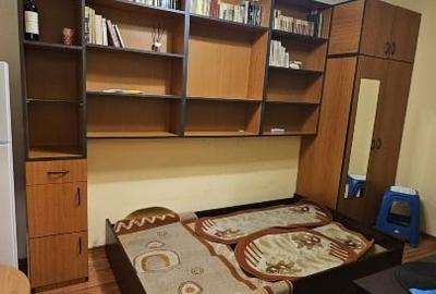 Garsoniera de vanzare zona Titan-Postavaru metrou Nicolae Grigorescu - 3