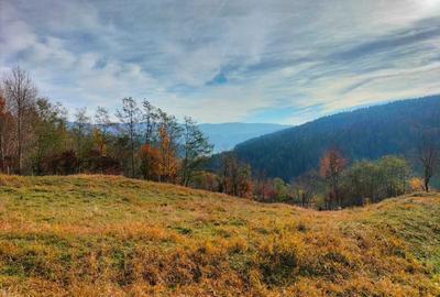 Spațiu comercial, în Central - 5