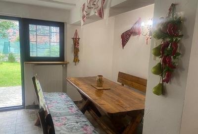 Vila de vacanta situata in Busteni - 4