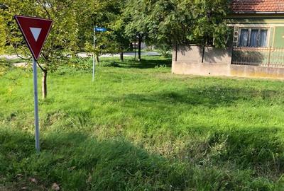 Casă cu 4 camere în Șicula - 5