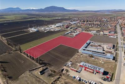 Teren agricol intravilan de 10000 mp, în Hălchiu - 9