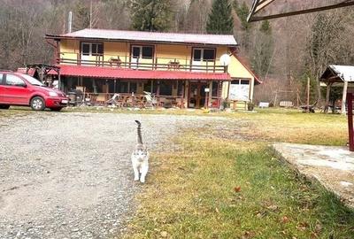 Vila de vanzare in Parcul national Piatra Craiului - 1