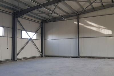 Spațiu comercial, de 500 mp, în Tunari