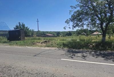 Teren de 1200 mp, în Ionășeni (Vârfu Câmpului) - 2