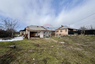 Casă cu 4 camere cu Teren 7727 Mp în Blidari (Cârligele) - 1