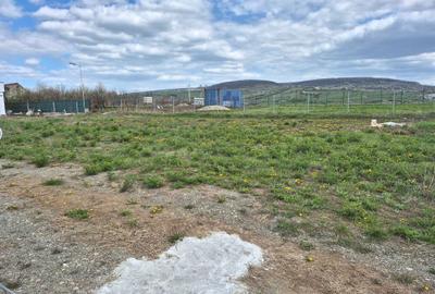 Spațiu comercial, în Baciu - 7