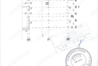 Spatiu comercial de inchiriat - 1