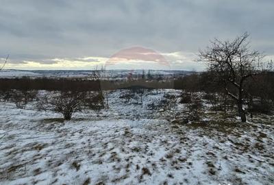 Teren de 10000 mp, în Rădășeni - 12