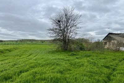 Spațiu comercial, în Curcani - 6