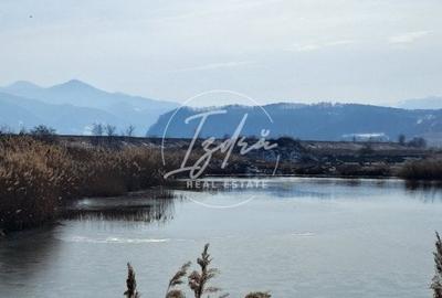 Teren cu lac. Afacere, agrement - 8