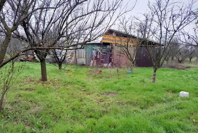 Casă cu 3 camere cu Teren 15000 Mp în Bărcănești - 20