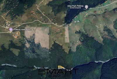 Teren extravilan de 4200 mp, în Păltiniș - 1