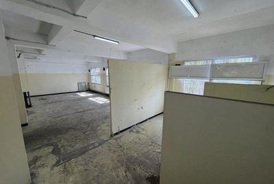 Drumul Intre Tarlale spatiu productie 1350 mp