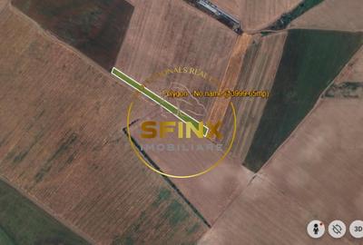 Teren extravilan arabil Petrachioaia 19.000mp - 4