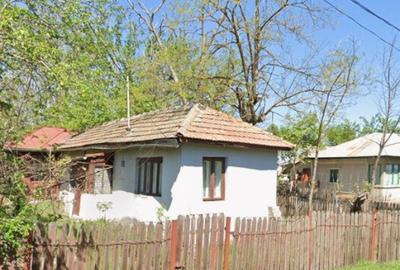 Casa batraneasca plus teren 1600mp Toporu jud. Giurgiu - 3