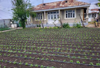 Casă cu 2 camere în Drumul Carului - 1