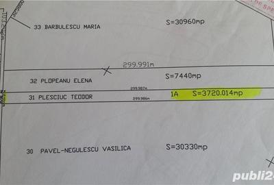 Teren de 3720 mp, în Domnești - 1