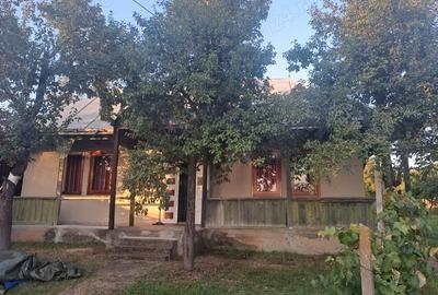 Casă cu 2 camere cu Teren 3200 Mp în Negri - 5