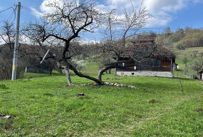 Teren intravilan 2.881 mp Șimon - Vedere panoramică Bucegi - Utilități incluse - 6