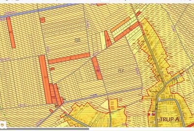 Teren de 1000 mp, în Săbăreni