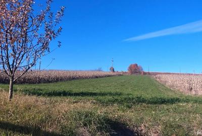 Vand teren de casa, intravilan, utilitati la poarta - 3