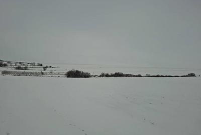 Preiau teren in arenda - 1