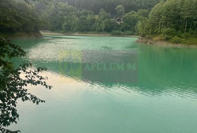 Spațiu comercial, în Secăria - 15