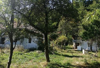 Casă cu 3 camere cu Canalizare în Baia de Aramă - 1