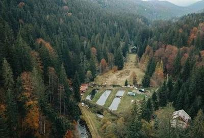 Teren de 3000 mp, în Lunca - 2