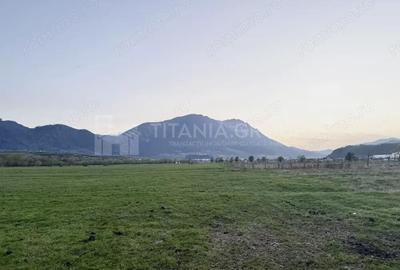 Teren de 7838 mp, în Zărnești - 3