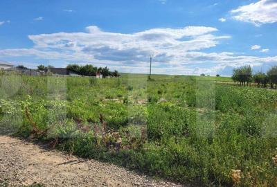 Teren Intravilan Curtesti 7500mp - 1