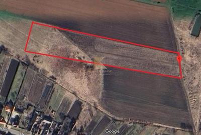 Posibilitate RATE | Teren Bod | curti constructii | utilitati | PUZ, - 20