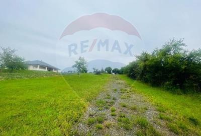 Teren pretabil constructii/10 min de Baia Mare - 9