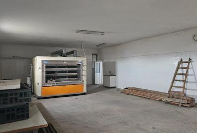 Casă individuală cu 4 camere cu Teren 6700 Mp în Gelu - 9