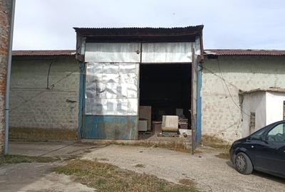 Depozit și hală industrială de vânzare – Orțișoara, complex industrial Avicola - 14